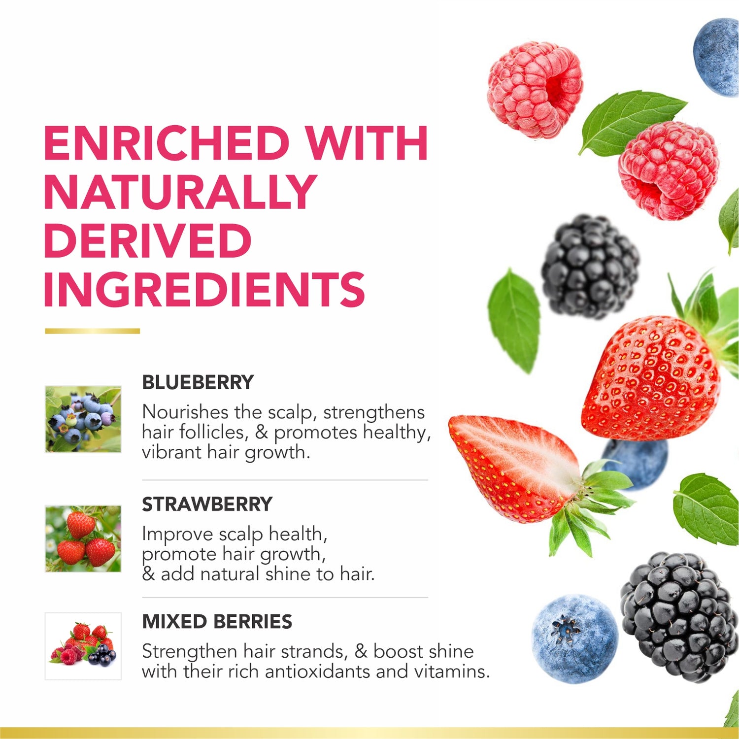 Keratin Gloss Shampoo &amp; Conditioner | With Blueberry, Strawberry &amp; Biotin | Damage Repair &amp; Split-End Control | Sulfate-Free, Paraben-Free | 250ml x 2