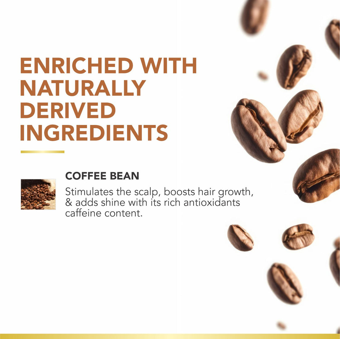 Coffee Bean Shampoo &amp; Conditioner | Keratin &amp; Protein Infused | Scalp Exfoliation &amp; Enhanced Hair Color | Anti-Hair Fall | Sulfate-Free, Paraben-Free | 250ml x 2