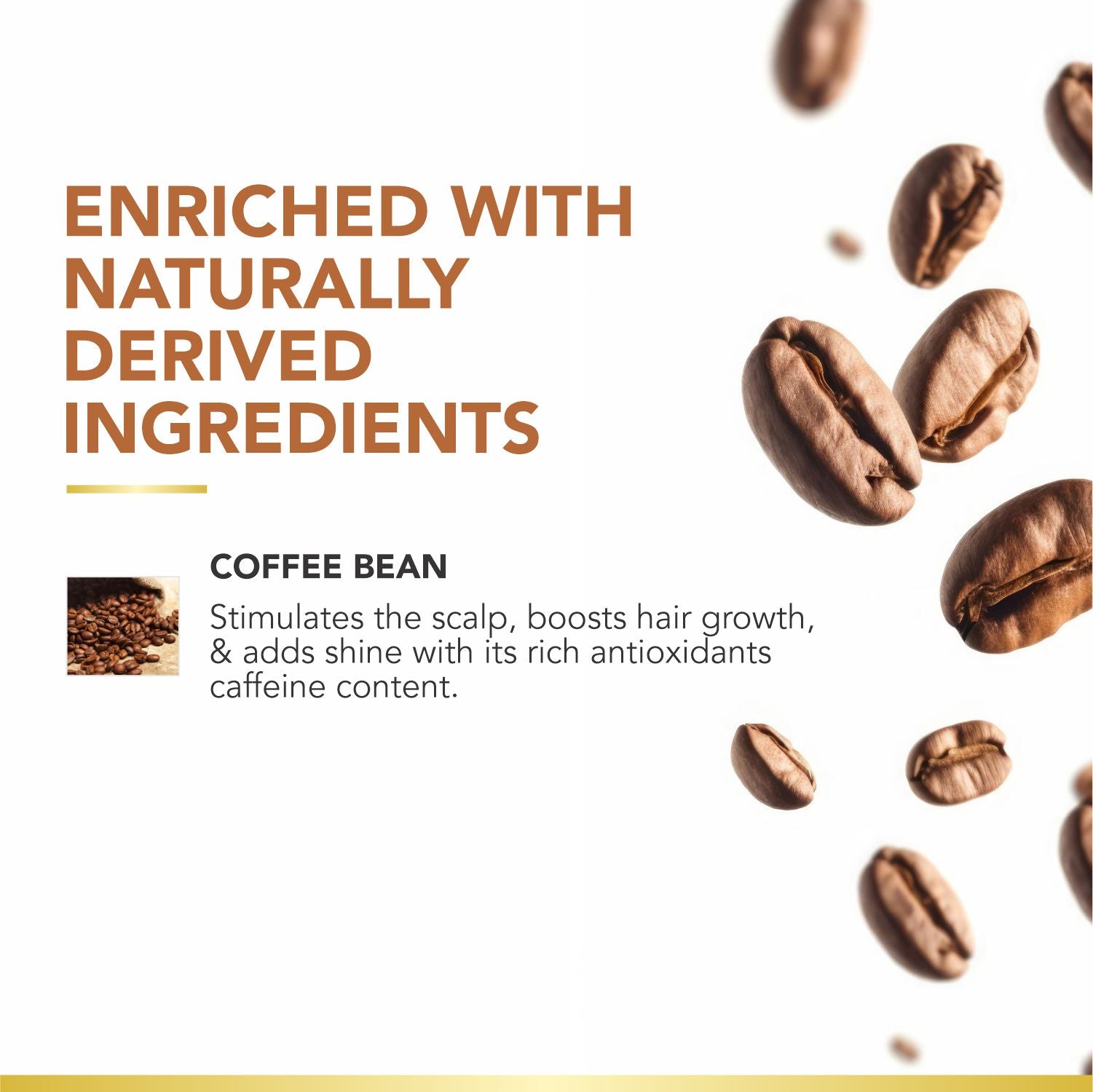 Coffee Bean Shampoo &amp; Conditioner | Keratin &amp; Protein Infused | Scalp Exfoliation &amp; Enhanced Hair Color | Anti-Hair Fall | Sulfate-Free, Paraben-Free | 250ml x 2