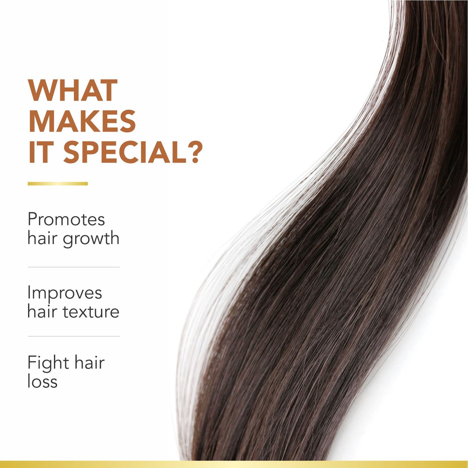 Coffee Bean Shampoo &amp; Conditioner | Keratin &amp; Protein Infused | Scalp Exfoliation &amp; Enhanced Hair Color | Anti-Hair Fall | Sulfate-Free, Paraben-Free | 250ml x 2