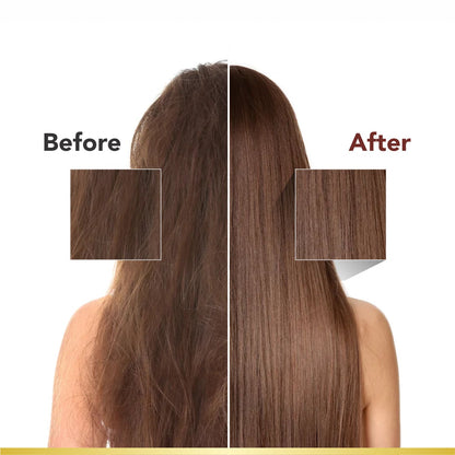 Brazilian Extra Moist Hair Masque | Enriched with Brazilian Nut &amp; Peppermint Oil | Restores &amp; Revitalizes Dry, Damaged Hair | Sulfate-Free, Paraben-Free | 250ml