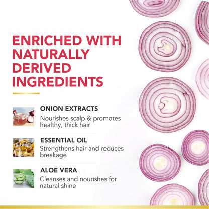 Organic Onion Shampoo &amp; Conditioner | Infused with Essential Oils &amp; Aloe Vera | Controls Hair Fall &amp; Strengthens Hair | Sulfate-Free, Paraben-Free | 250ml x 2