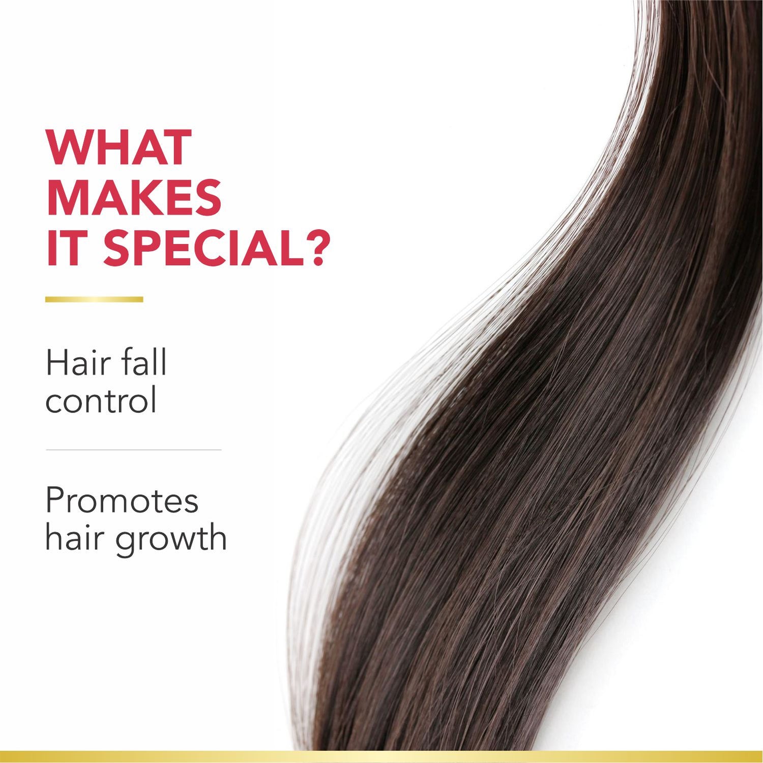 Organic Onion Shampoo &amp; Conditioner | Infused with Essential Oils &amp; Aloe Vera | Controls Hair Fall &amp; Strengthens Hair | Sulfate-Free, Paraben-Free | 250ml x 2